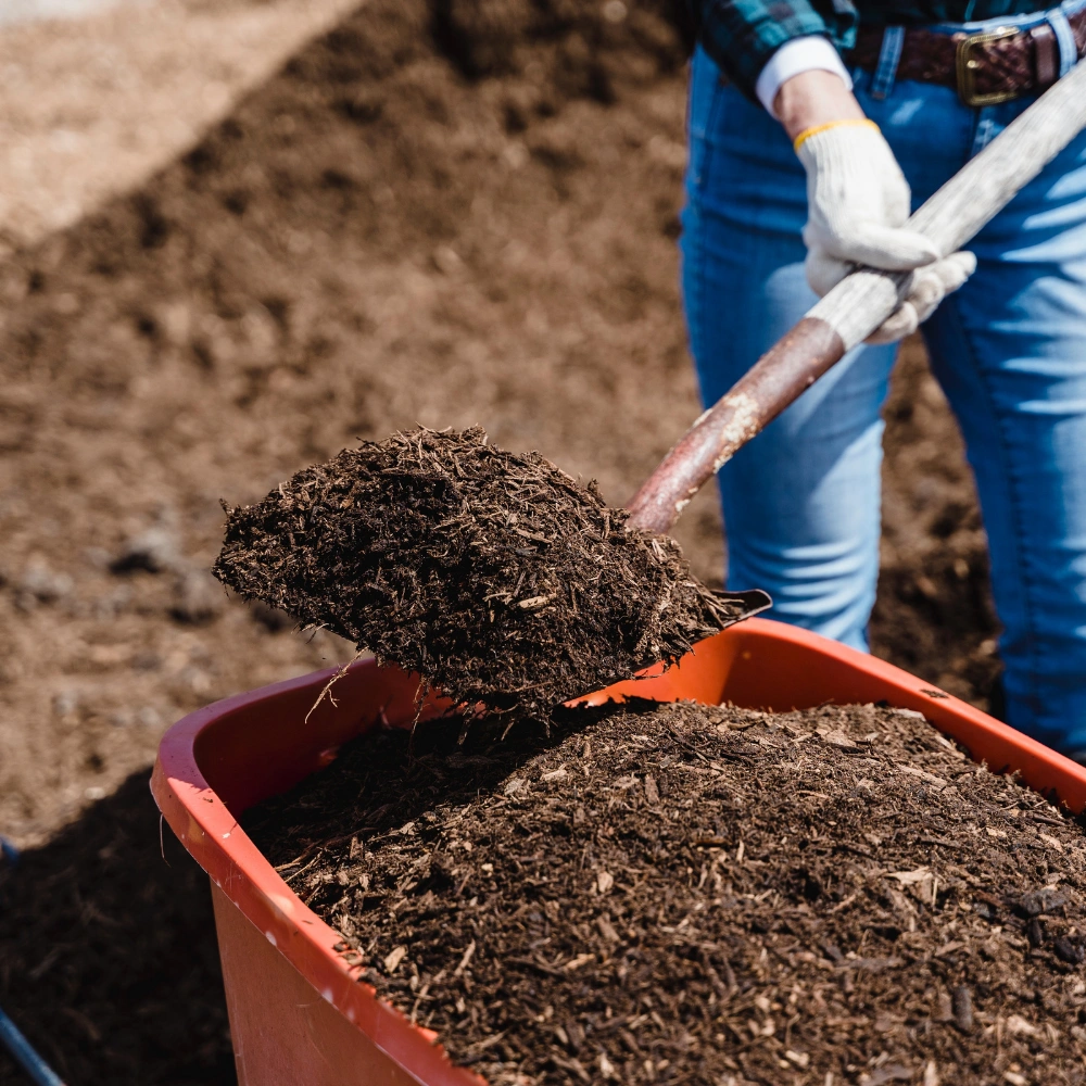 Hortiva : Transformez vos déchets en compost de qualité. Découvrez comment notre solution permet à chacun de nourrir son jardin facilement et naturellement.